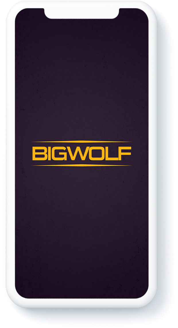 The Big Wolf Arcade