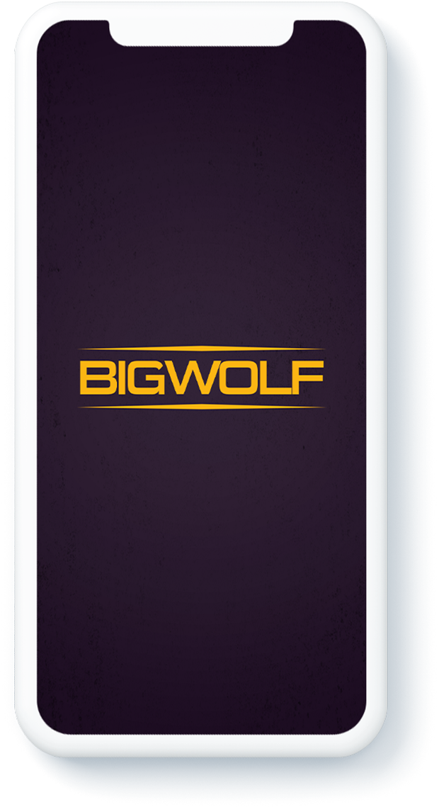 The Big Wolf Arcade